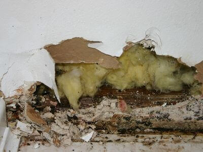 About Water Damage Restoration St. Petersburg - water damage restoration experts in St. Petersburg